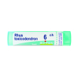rhus toxicodendron 6ch granuli multidose boiron