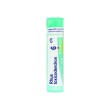 rhus toxicodendron*6ch 80gr 4g