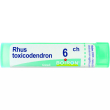 bo.rhus toxic*6ch 80gr 4g