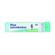 rhus toxicodendron 6ch 80gr 4g