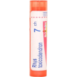 boiron rhus toxicodendron 7ch - farmaco omeopatico 4 gr granuli multidose