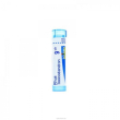rhus toxicodendron*9ch 80gr 4g