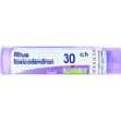 bo.rhus toxic.tubo *30ch