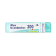 rhus toxicodendron*200ch 80gr 4 g granuli