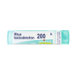 rhus toxicodendron*200k 80gr4g 4 g granuli