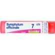 bo.symphytum officinale*7ch 80