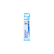bo.symphytum officinale*9ch 80
