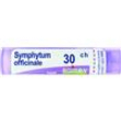 symphytum off.  30ch 80gr