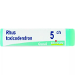 rhus toxicodendron*5ch gl 1g