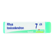 rhus toxicodendron 7ch globuli monodose boiron