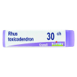 boiron rhus toxicodendron 30ch - farmaco omeopatico 1 gr granuli monodose