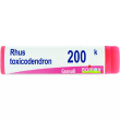 bo.rhus toxicodendron*200k gl