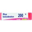 rhus toxicodendron*200k gr 1g