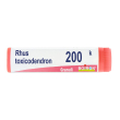 boiron® rhus toxicodendron granuli 200 k contenitore monodose 1 g glob