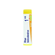 boiron rhus toxicod boi 1 k - rimedio omeopatico granuli multidose 4 gr