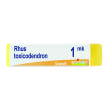 rhus toxicodendron 1000k globuli monodose boiron