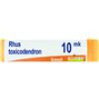 bo.rhus tox *10000k gr1g