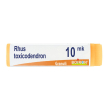 boiron rhus toxicodendron 10.000 k contenitore monodose 1 g globuli