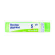 bovista gigantea 5ch granuli multidose boiron