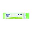 abies nigra 5ch granuli multidose boiron
