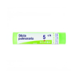 boiron sticta pulm 5ch gr 4g