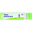 bo.sticta pulmonaria*5ch 80gr