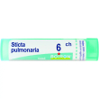sticta pulmonaria*6ch 80gr 4g