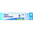 boiron sticta pulm 9ch gr 4g