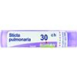 bo.sticta pulmon*30ch 80gr 4g