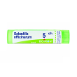 sabadilla officinarum 5ch granuli