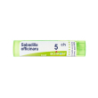 sabadilla officinarum*5ch 80gr