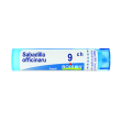 bo.sabadilla offici*9ch 80gr