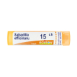 sabadilla officinarum*15ch80gr 4 g granuli