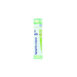 boiron agraphis nut 5ch gr 4g