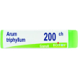 boiron arum triphyl 200ch gl 1g