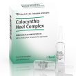 heel colocynthis complex*10fl 1,1 ml
