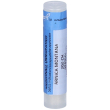 arnica montana*200 ch granuli (globuli) contenitore monodose da 1 g pe