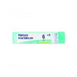 boiron natrum mur 6ch gr 4g