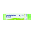 caulophyllum thalictroides 5ch granuli multidose boiron