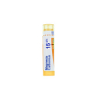 bo.magnesia carbonica*15ch 80g