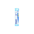 magnesia muriatica*9ch 80gr