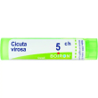 cicuta virosa 5ch boiron – 80 granuli omeopatici multidose