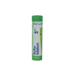 boiron sulfuricum iodatum 5 ch granuli - rimedio omeopatico