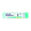boiron calcarea phos 6ch gr 4g