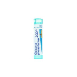 calcarea phosphorica 200ch 80gr