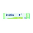 ammonium muriaticum boiron 5ch granuli omeopatici 4g