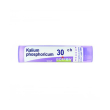 boiron kalium phosph 30ch gr 4g