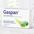 gaspan per disturbi gastrointestinali 14 capsule