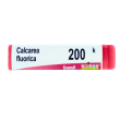 boiron calcarea flu 200k gl 1g