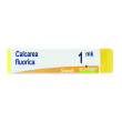calcarea fluorica 1mk globuli monodose boiron